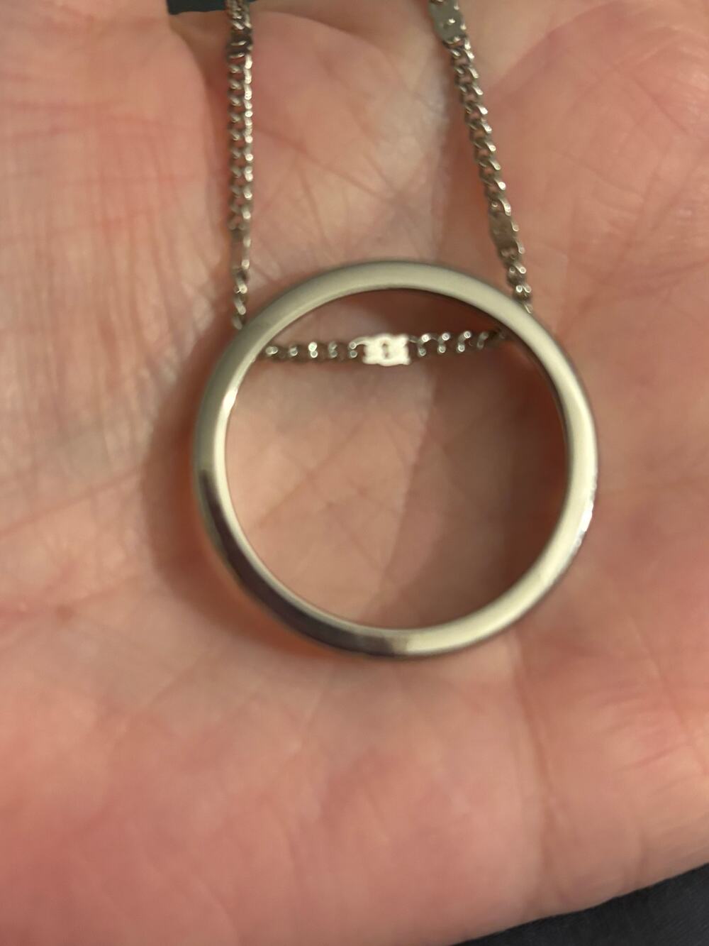 Express  NWT silver Tone Necklace 28”